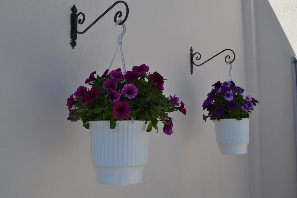 Double or Twin Room Balcony