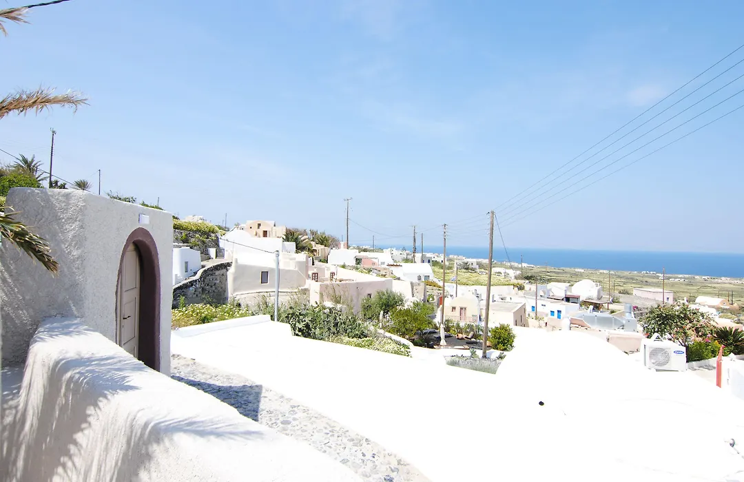 White Grape Suites-1