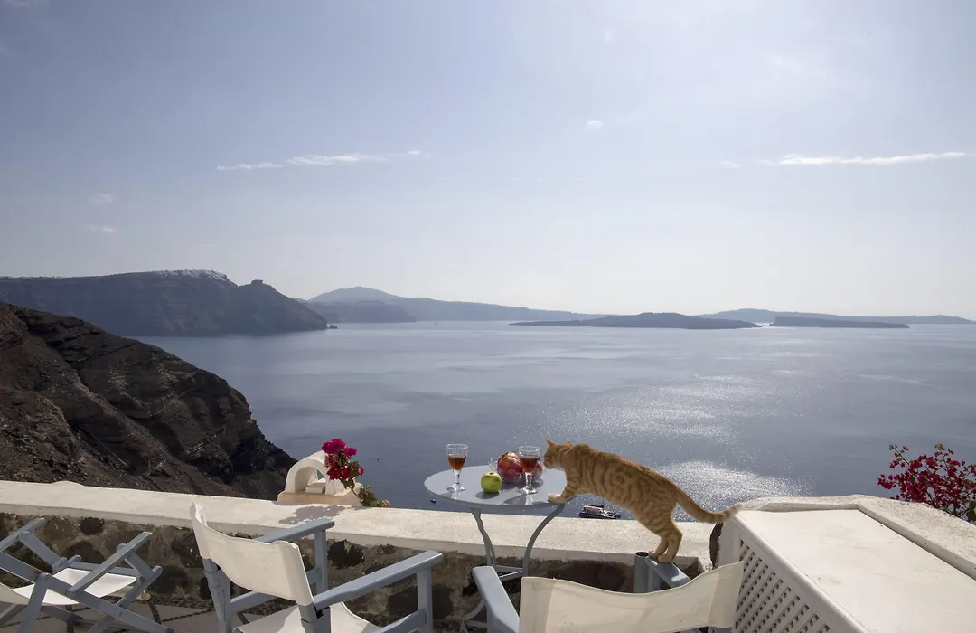 Lava Oia'S-1