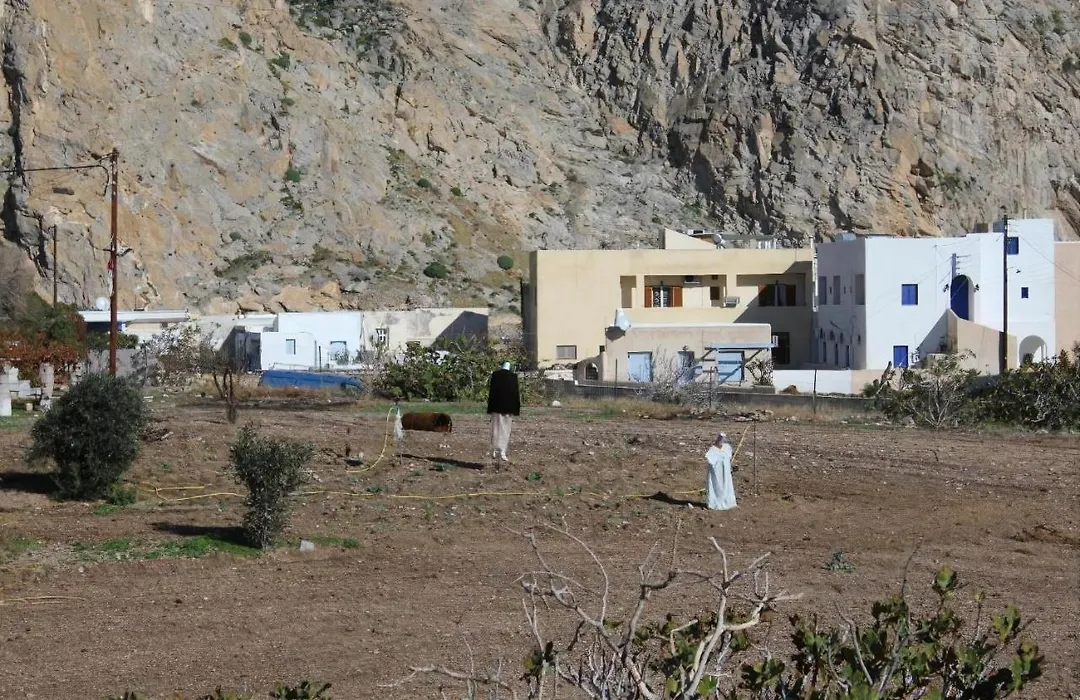 Studios Halaris-1