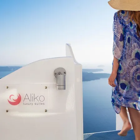 Aliko Luxury Suites-3