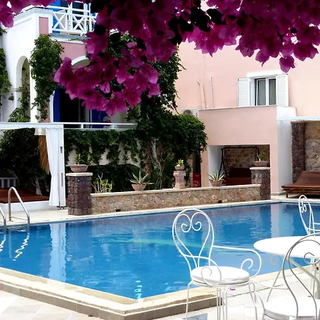 Summer Holidays-3