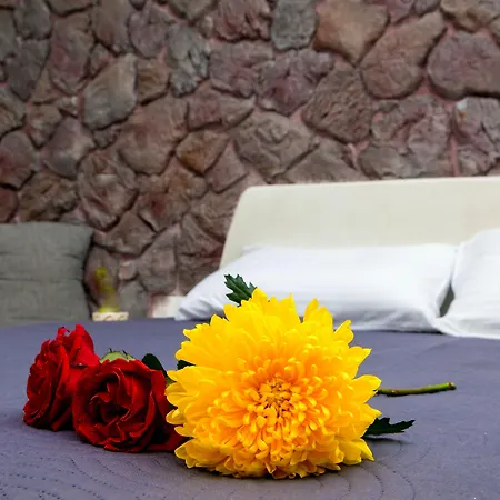Plastiras Rooms-2