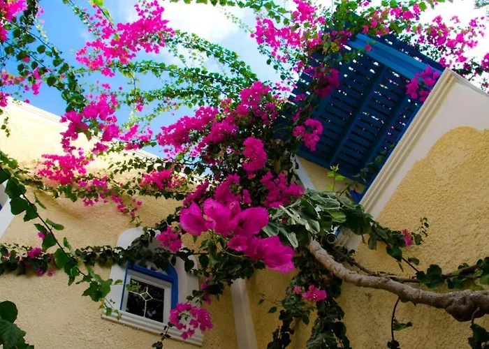 Hotel Zeus Kamári